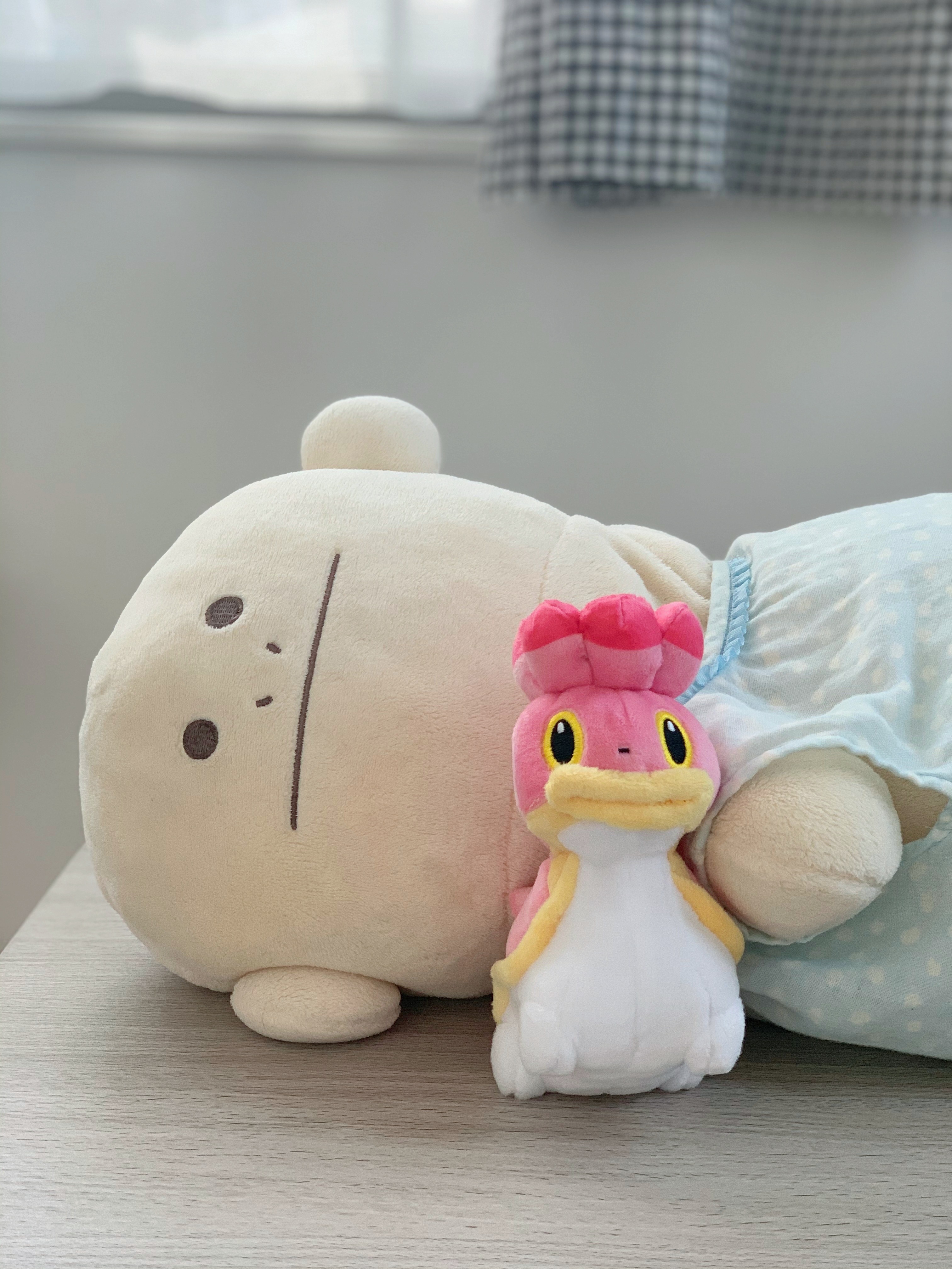 ロリスとカラちゃん